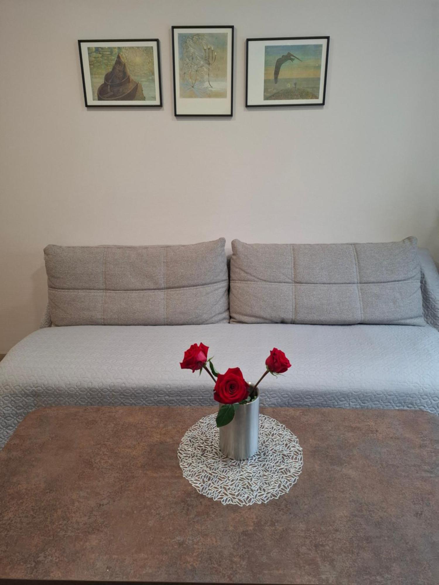 Apartamentai Auris Druskininkai Exteriér fotografie